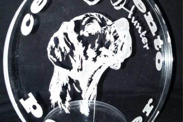 targa in plexiglass trasparente spessore mm 8 personalizzata con incisione e taglio laser
