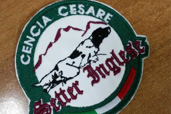 toppa ricamata personalizzata con setter inglese